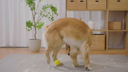 PetSphery™ Pet Grooming Vacuum Kit Pro